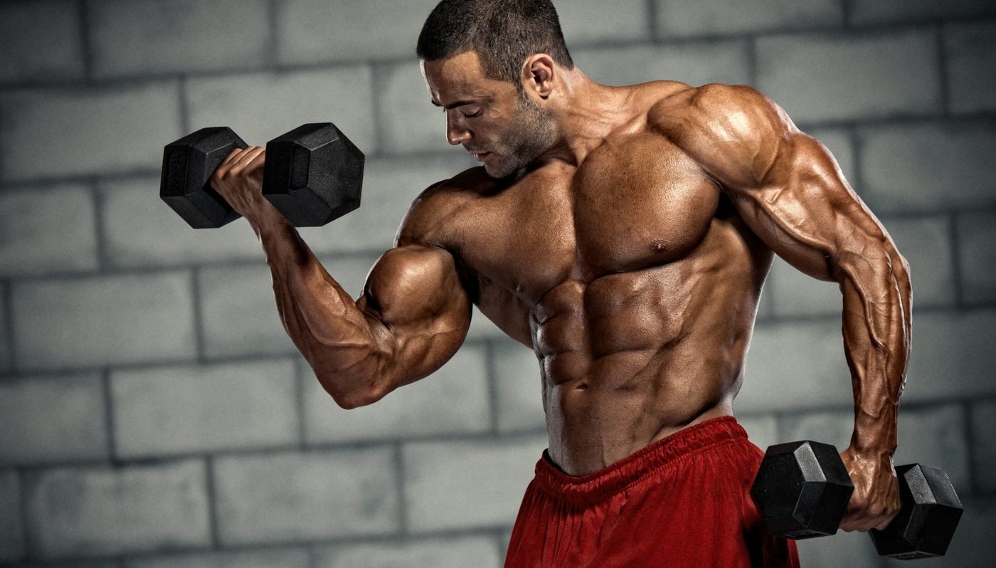 Muscle building — dumbbell bicep curl